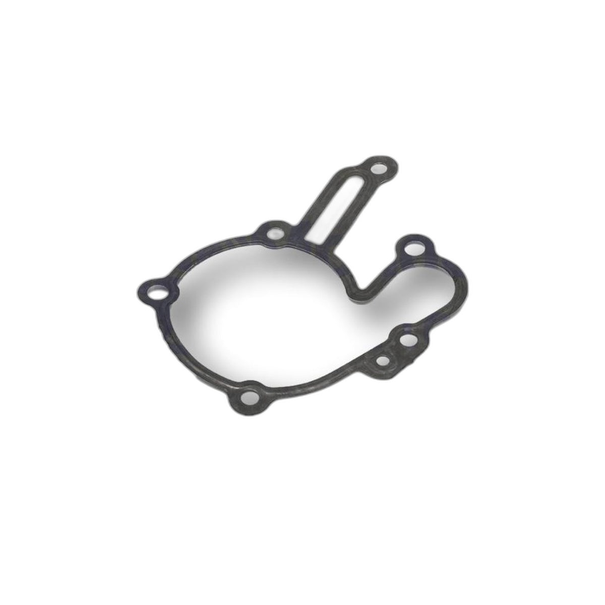 Guarnizione Pompa Acqua Piaggio Porter Diesel D120 E5 889470