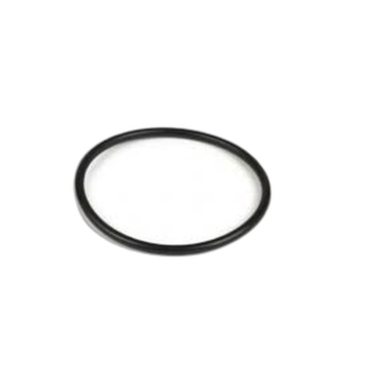 O-ring Coperchio Filtro Olio Piaggio Porter Diesel D120 E5 B011393