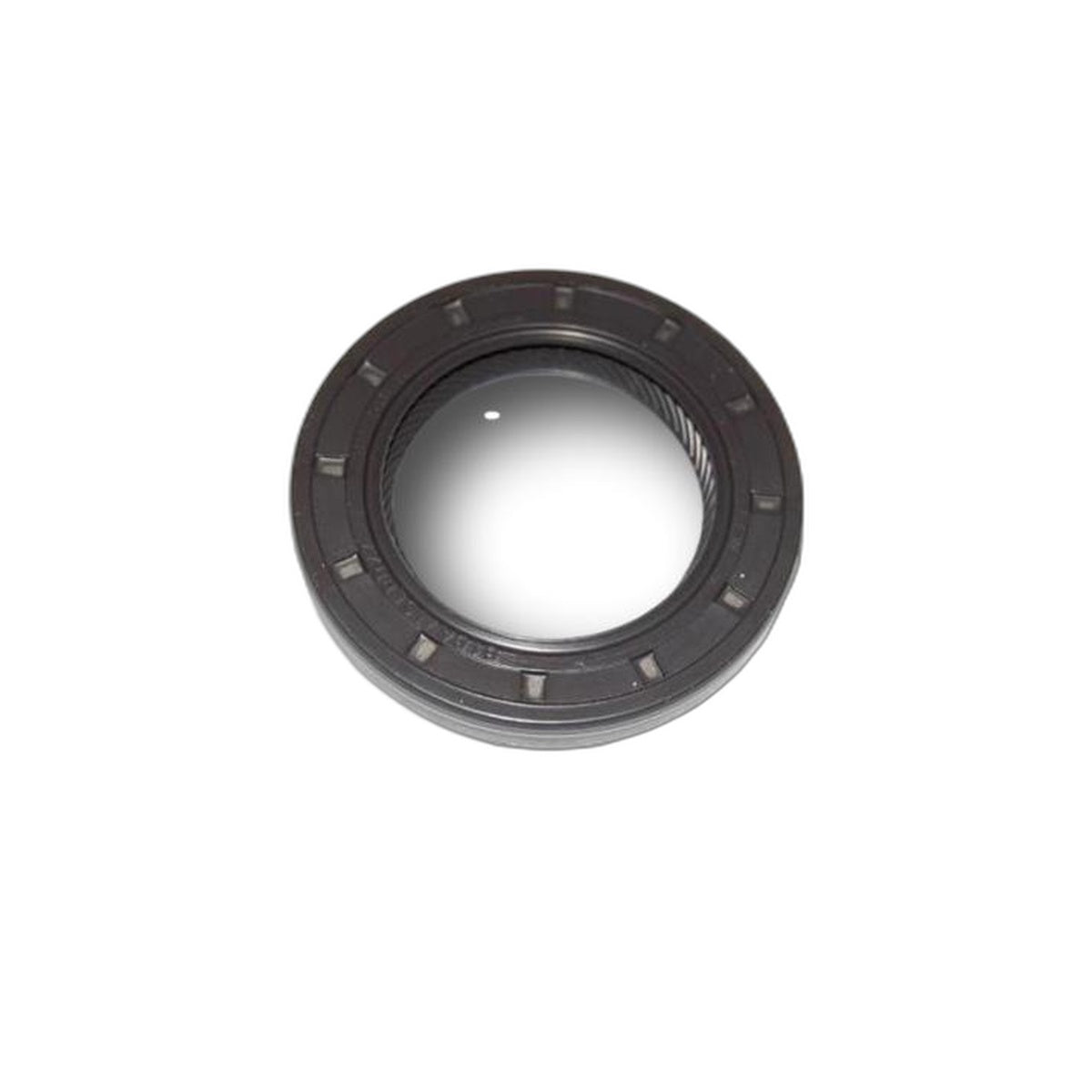 Paraolio Pompa Olio Piaggio Porter Diesel 493020