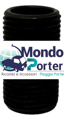 Vite speciale filtro olio Piaggio Porter Np6