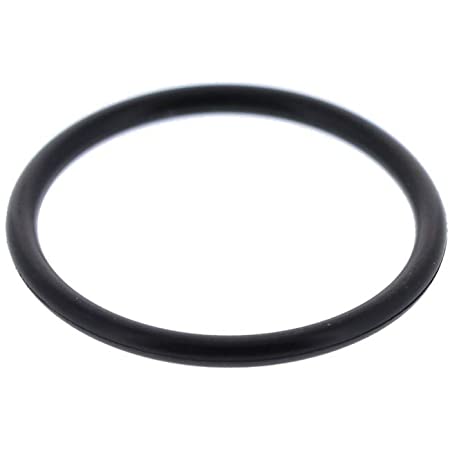 Guarnizione O-ring Spinterogeno Piaggio Porter 1300 Benzina 1919487102000 - Mondo Porter