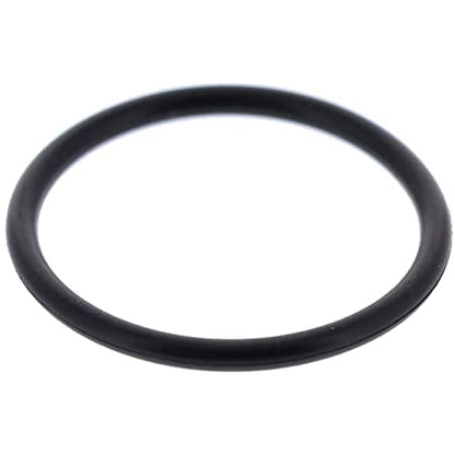 Guarnizione O-ring Spinterogeno Piaggio Porter 1300 Benzina 1919487102000 - Mondo Porter