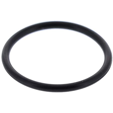 Distributor O-ring gasket Piaggio Porter 1300 Petrol 1919487102000