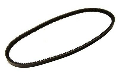 Cinghia Alternatore Trapezoidale Piaggio Porter Diesel D120 E5 B010777 - Mondo Porter