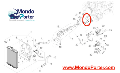 Manicotto Acqua Superiore Sx Piaggio Porter Multitech E6 DAM13R - Mondo Porter