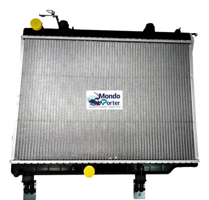 Radiatore Piaggio Porter Np6